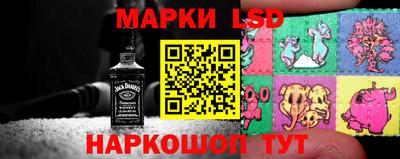гидра Будённовск
