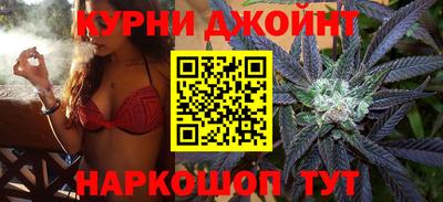 гидра Будённовск