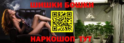гидра Будённовск