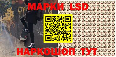 гидра Будённовск