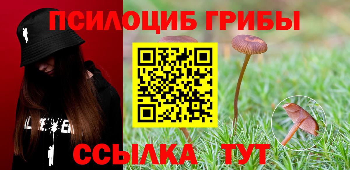 Галлюциногенные грибы MAGIC MUSHROOMS  Галлюциногенные грибы Psilocybine cubensis  Вход с VPN  Старая Купавна 